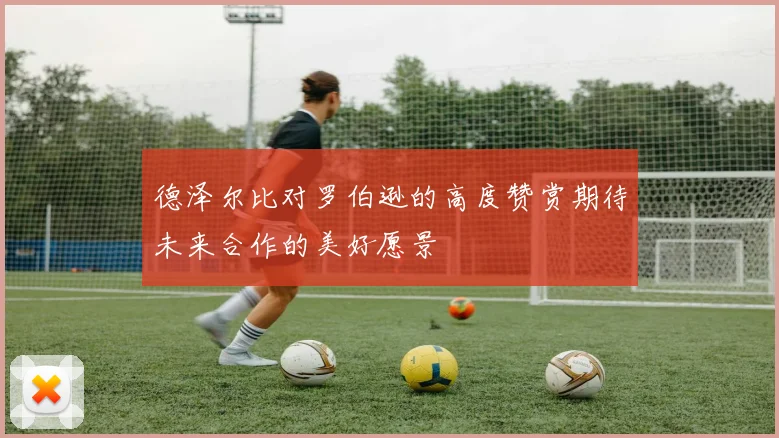 德泽尔比对罗伯逊的高度赞赏期待未来合作的美好愿景
