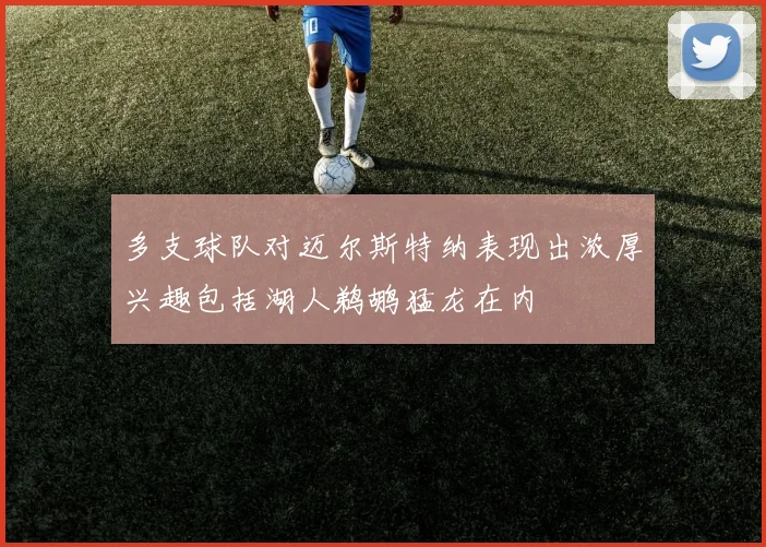 多支球队对迈尔斯特纳表现出浓厚兴趣包括湖人鹈鹕猛龙在内
