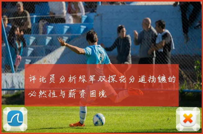 评论员分析绿军双探花分道扬镳的必然性与薪资困境