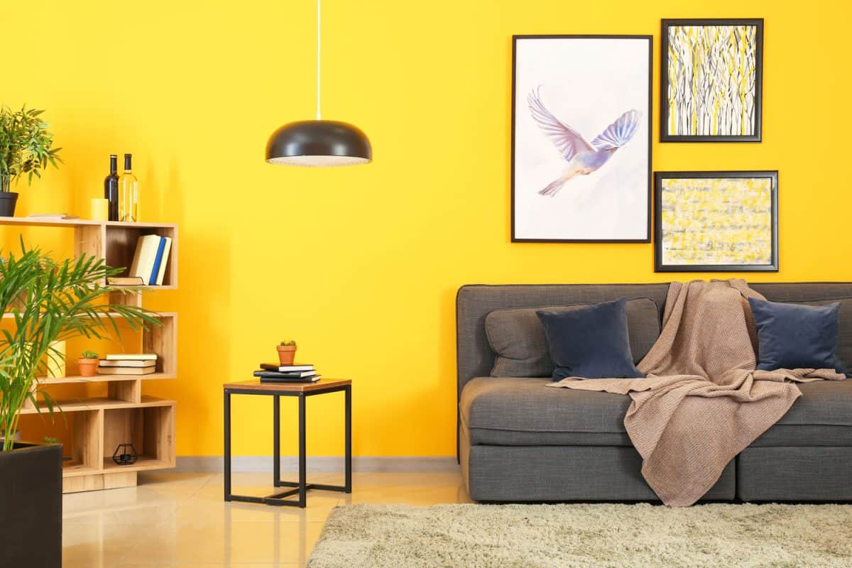 Interior of a bright yellow colored living room with black colored sofa and pictures on the walls