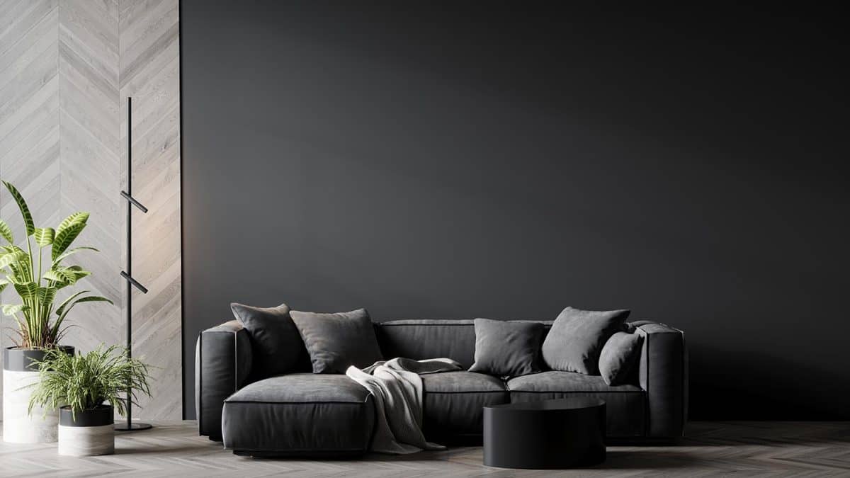 Living room in gray and black colors