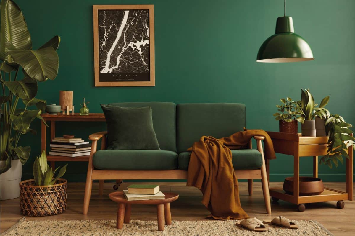 Stylish living room in house with modern retro interior design, velvet sofa, carpet on floor, brown wooden furniture, plants