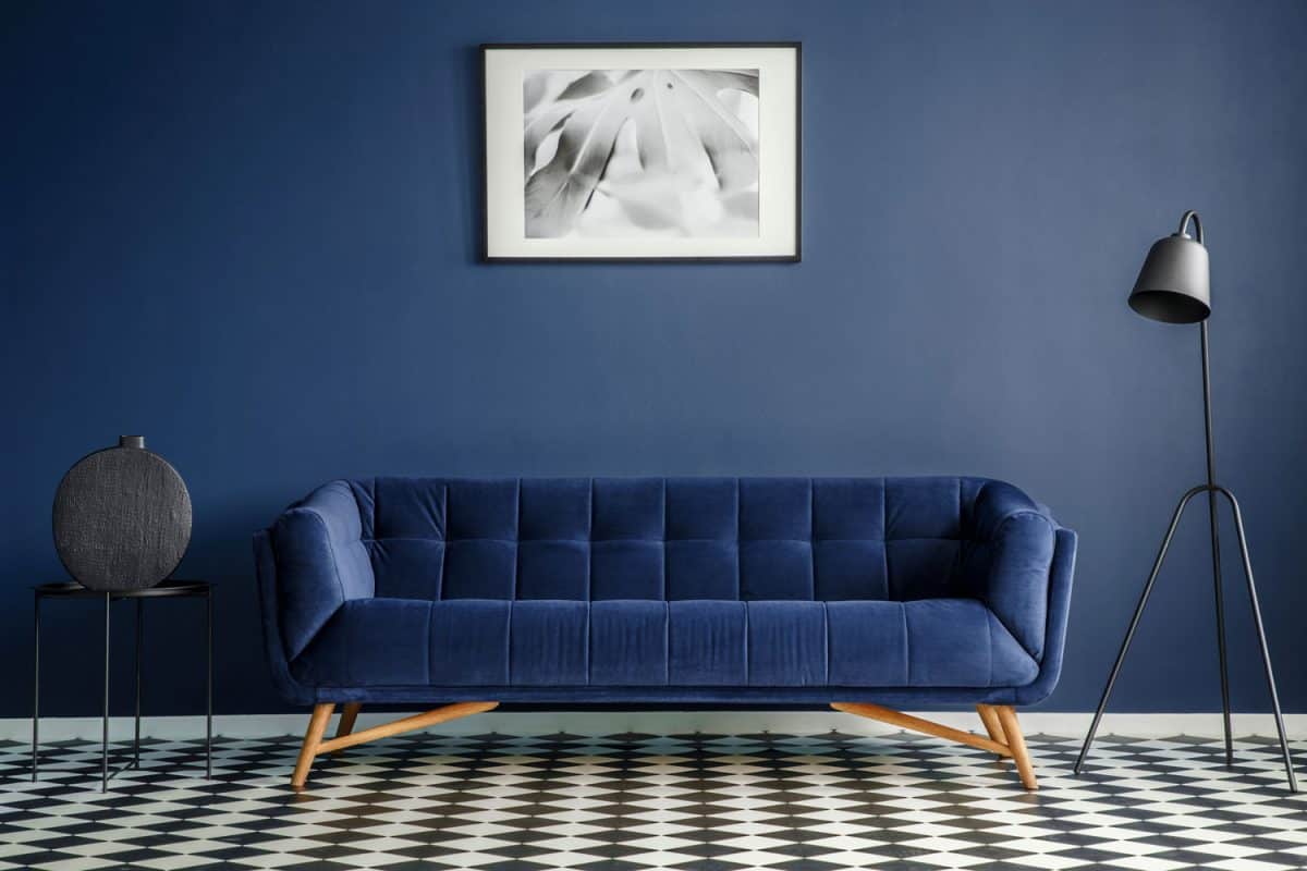 A blue sofa inside a blue walled living room