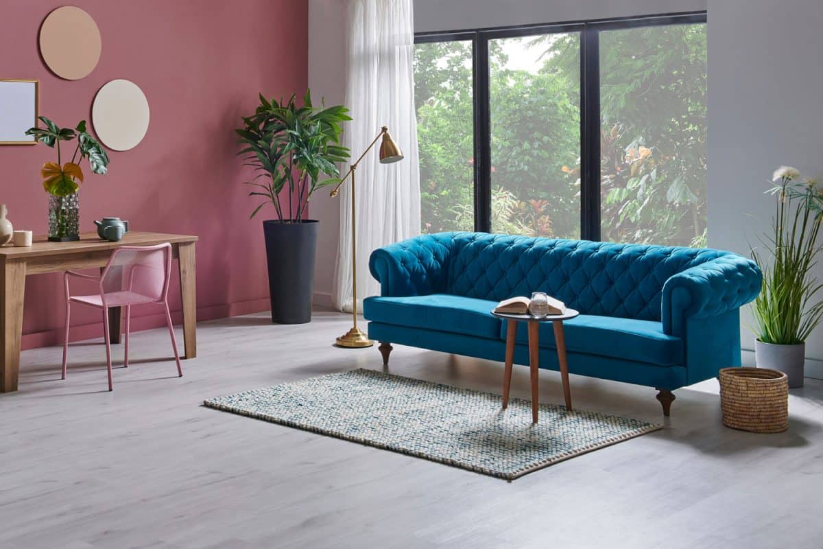 A long blue colored sleeper sofa with a green carpet and a pink accent wall with plants all around the room