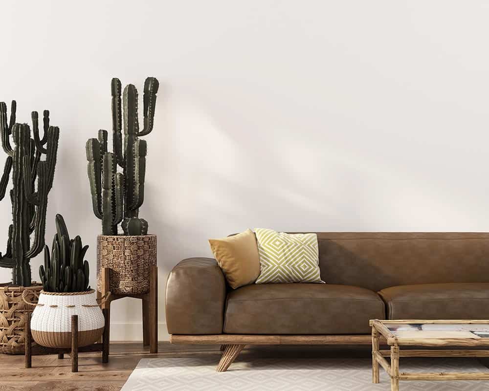 Boho-style interior with leather sofa and cactus