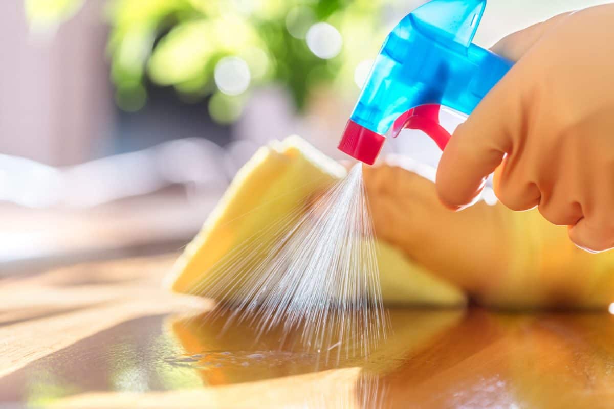 Cleaning the table using antibacterial spray