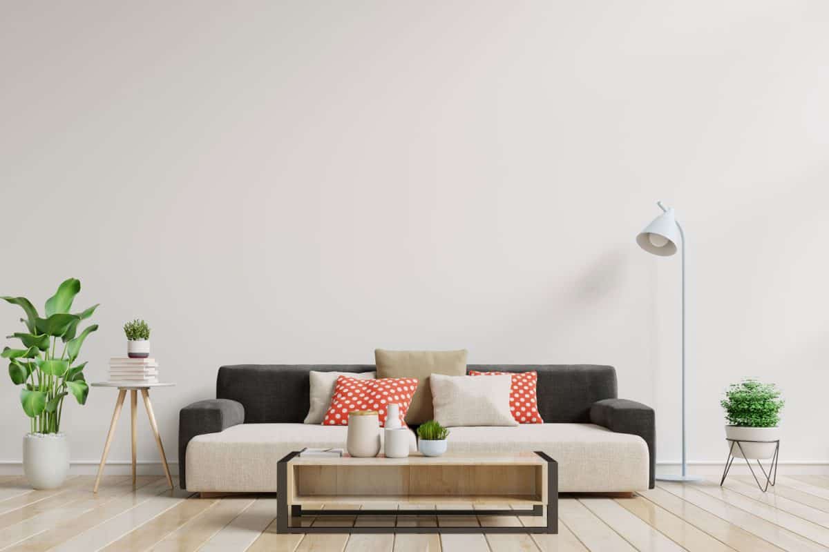 Elegant and minimalist inspired living room with minimalist furnitures