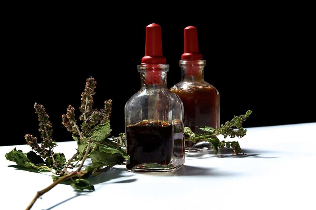 Essential oils and branch of dried patchouli leaves and flowers