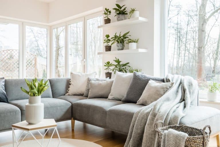 Grey corner couch with pillows and blankets in white living room, How To Choose The Right Couch Color For Your Living Room