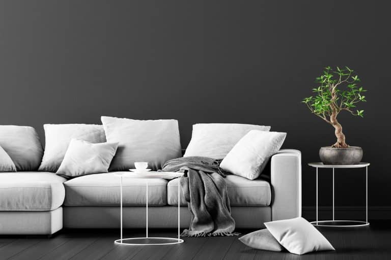A modern concept interior design of dark grey living room, What Color Couch Goes With Dark Gray Walls? [8 Inspirational Color Schemes!]