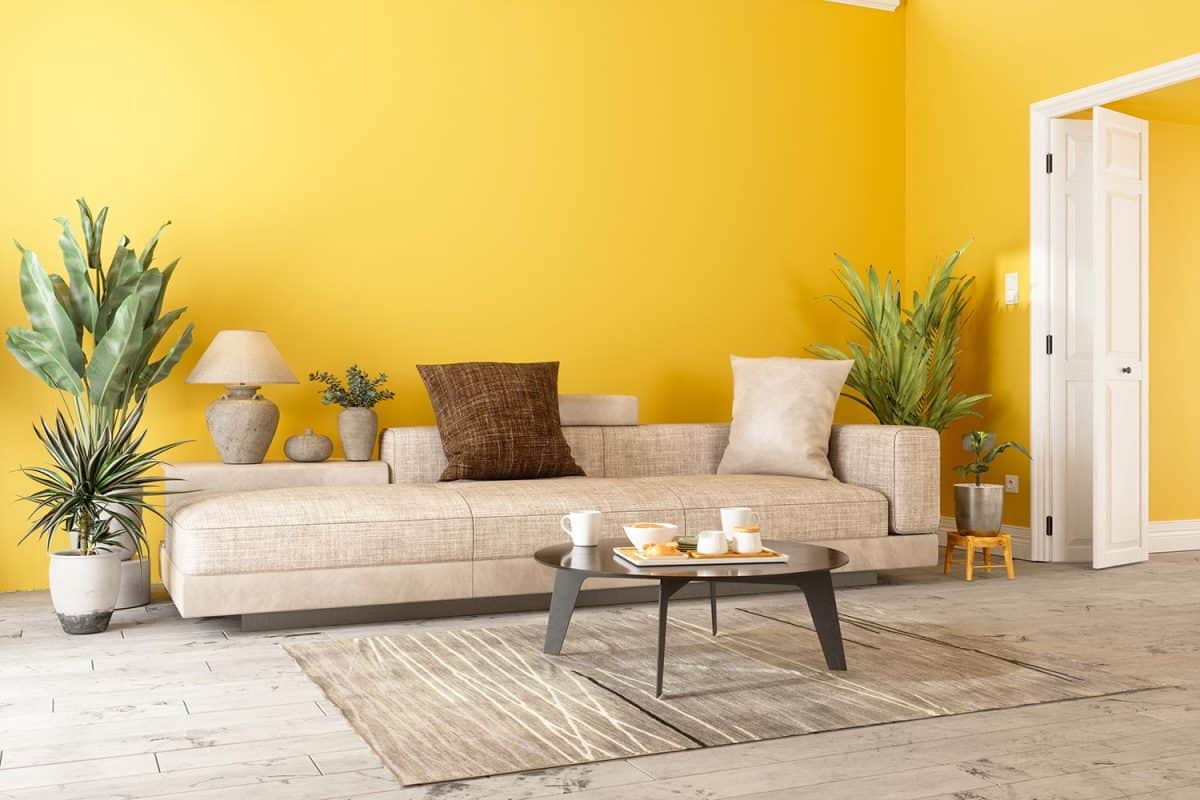 Modern living room interior with sofa, potted plants and yellow color wall