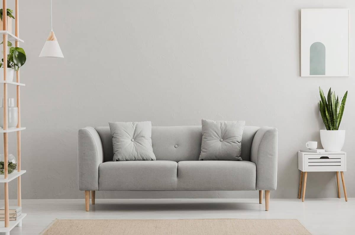 Poster above white cabinet with plant next to grey sofa in simple living room interior