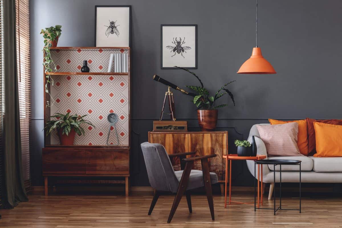 Posters on grey wall in vintage living room interior with wooden armchair next to orange table with plant
