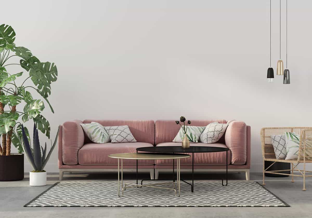 Stylish living room interior in pink with a concrete floor, velvet sofa, wicker chair, golden table