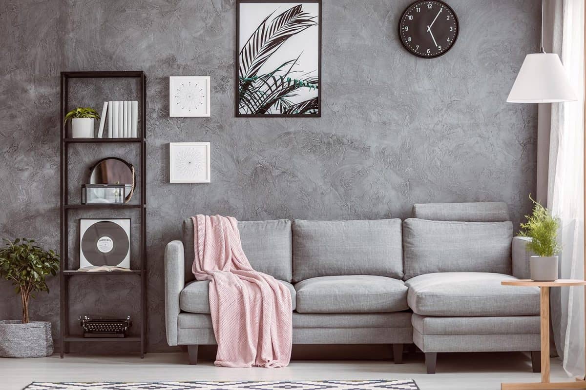 Stylish living room with comfortable grey corner sofa, small tree on the floor and black clock on dark wall