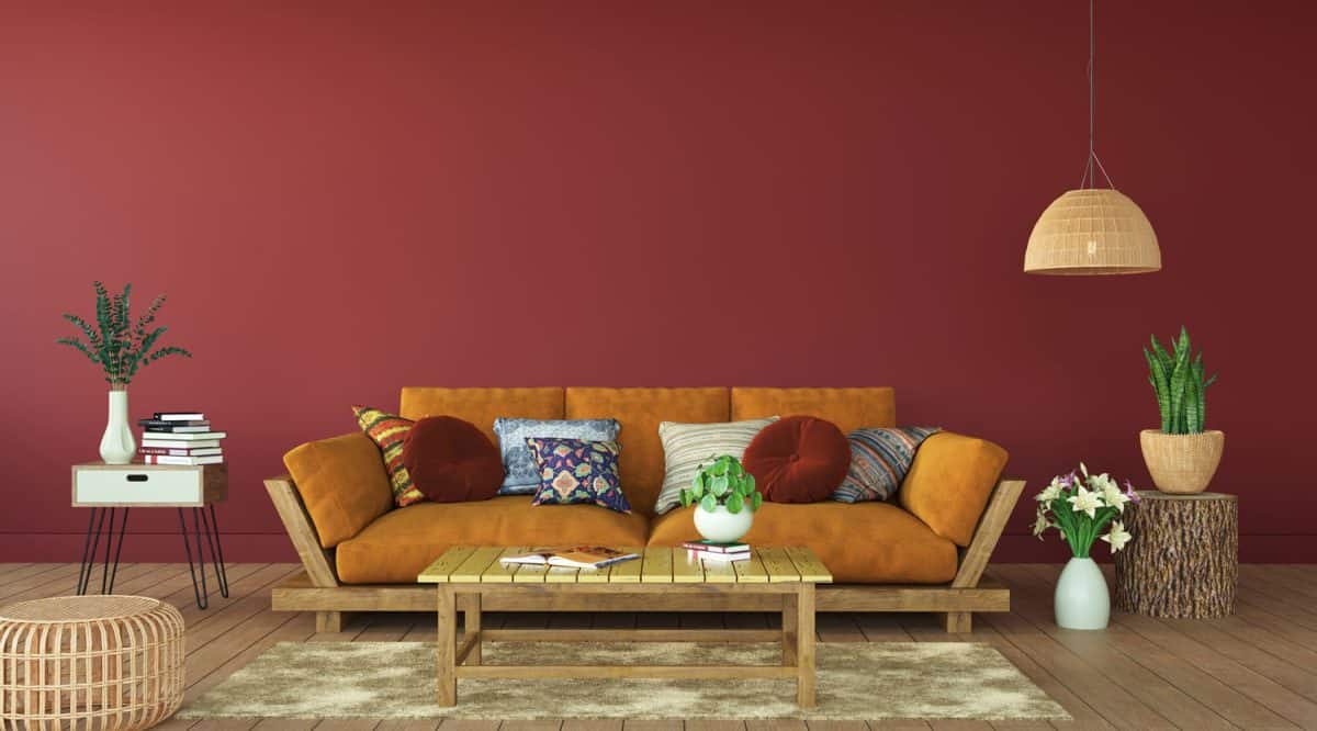 Terracotta Color Paint Living Room