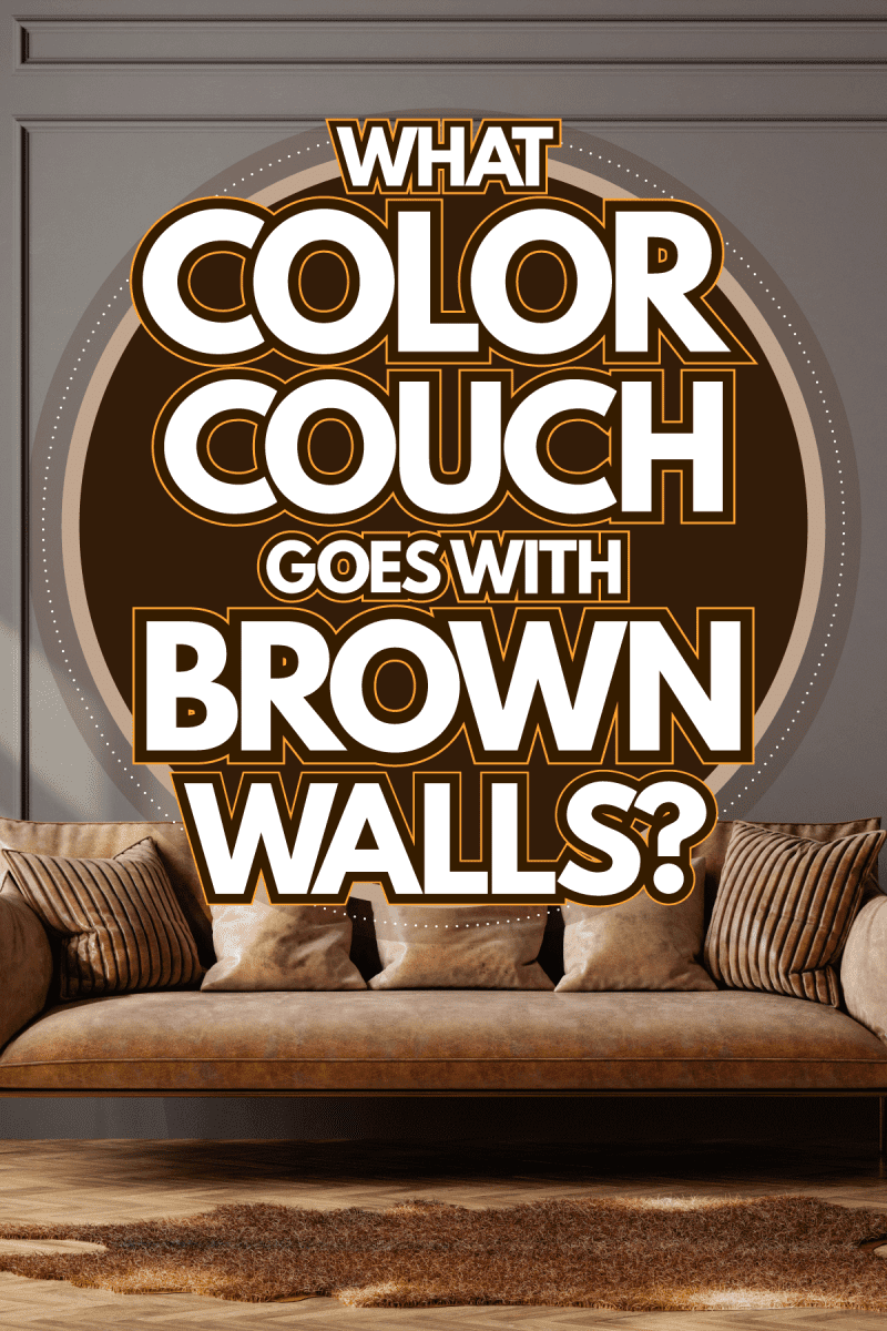 A brown flat panel wall with a brown leather sofa with a brown irregular carpet, hat Color Couch Goes With Brown Walls?