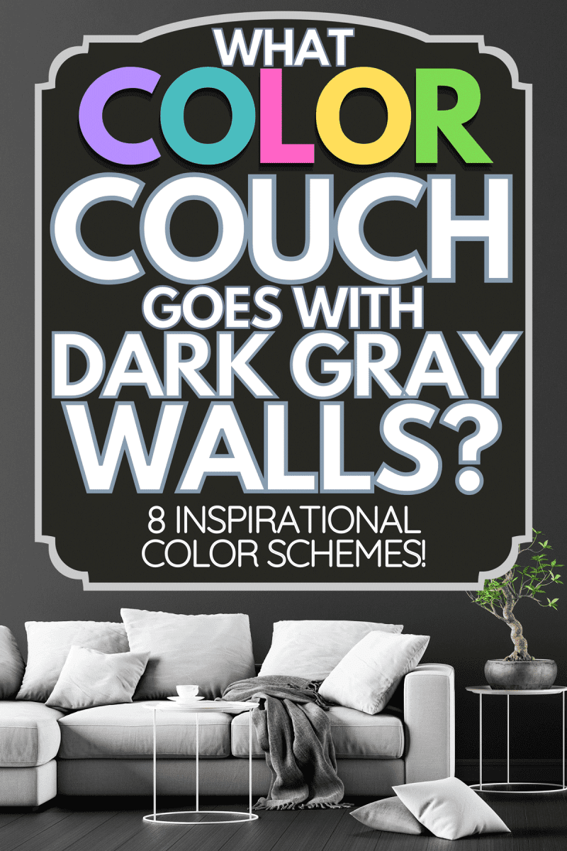 Modern concept interior design of dark grey living room, What Color Couch Goes With Dark Gray Walls? [8 Inspirational Color Schemes!]