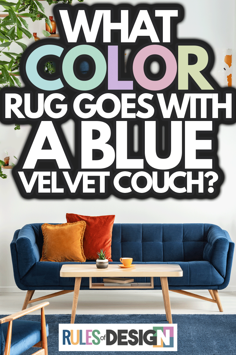 Blue velvet wooden armchairs and couch in living room interior with plants and lamp above table, What Color Rug Goes With A Blue Velvet Couch?