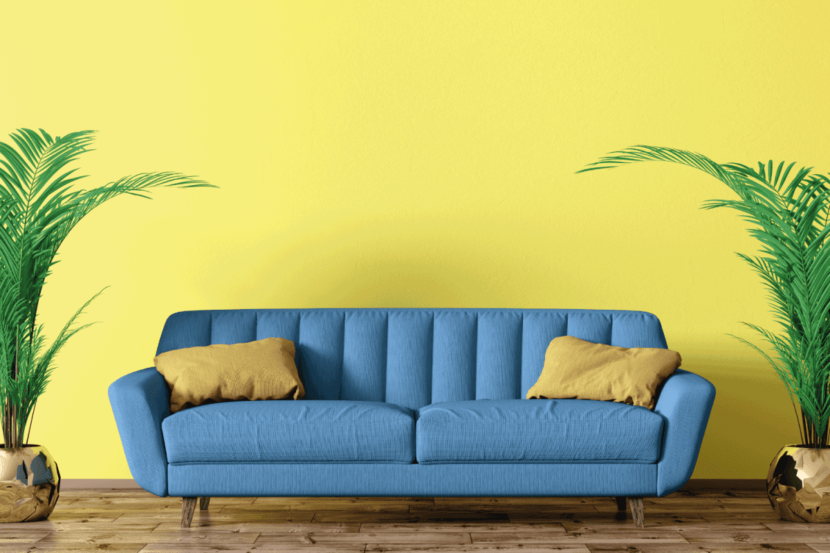 living room with blue sofa and two palms over yellow wall