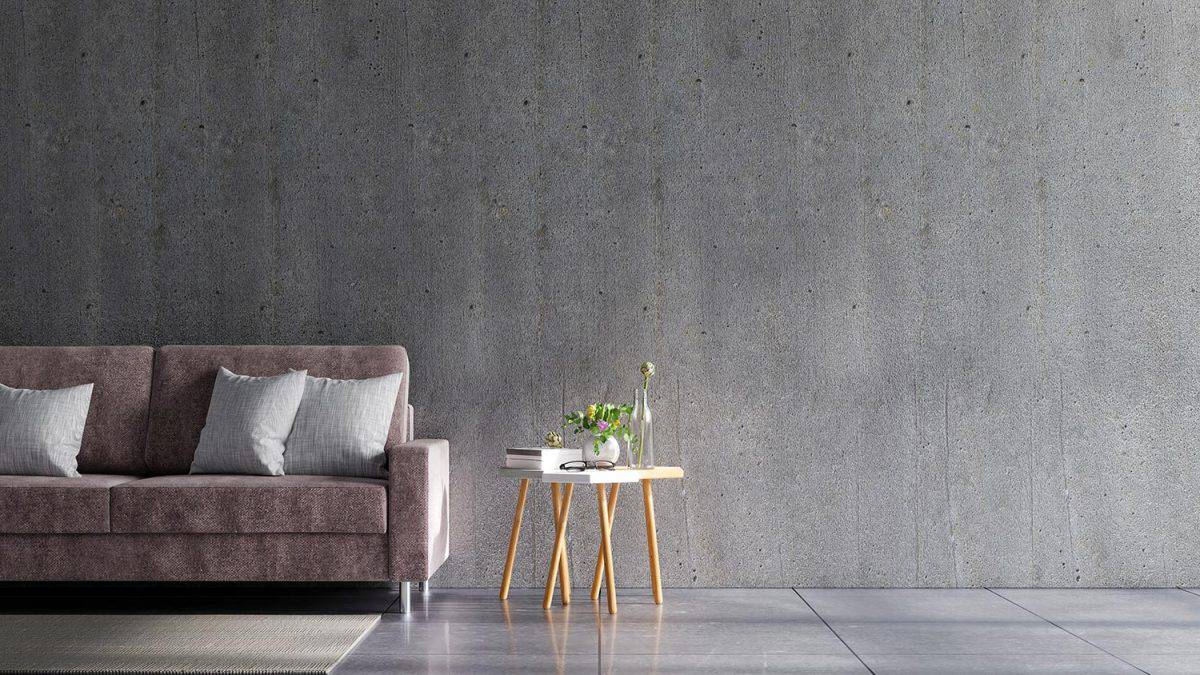 Concrete wall in house with sofa and accessories in the room