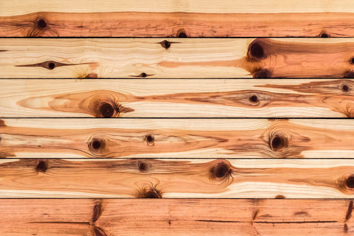 Knotty pine wall sidings for a rustic inspired living room