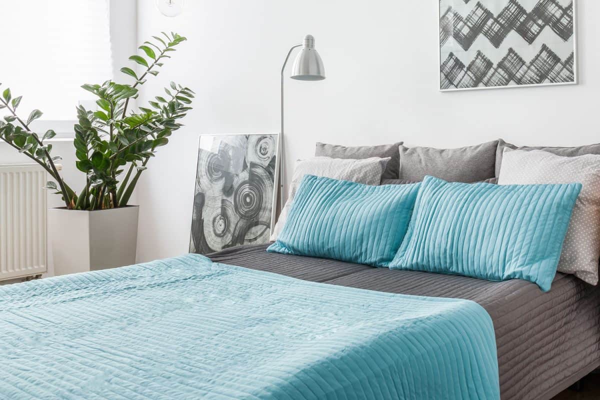 Light blue beddings inside a white walled bedroom matched with gray and light blue pillows