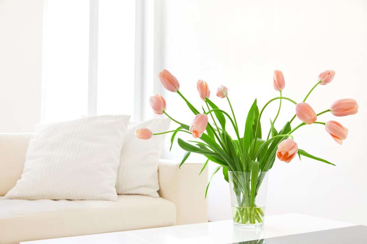 Sofa and tulips in a modern living room