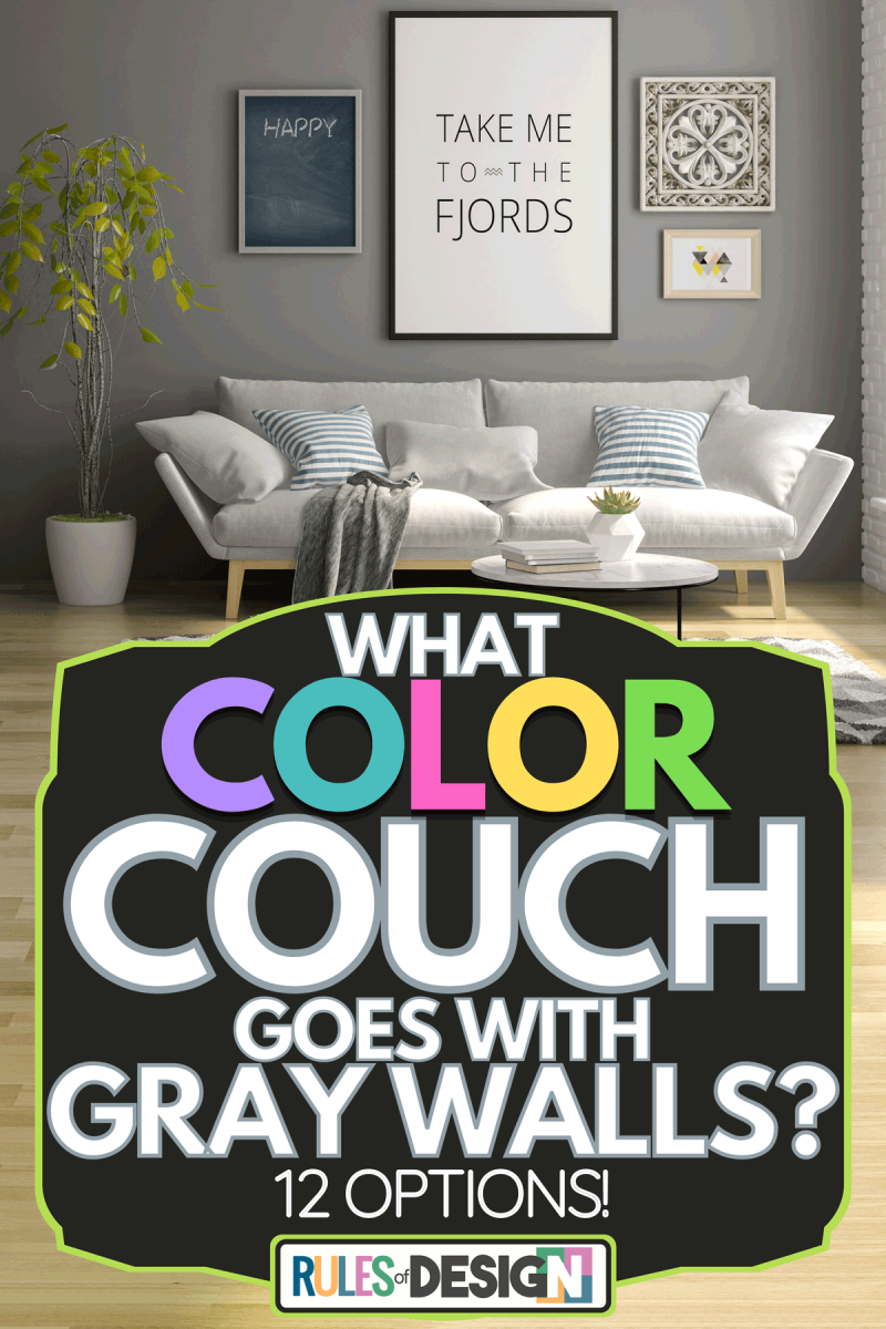 Modern living room interior with sofa and furniture, What Color Couch Goes With Gray Walls? [12 Options!]
