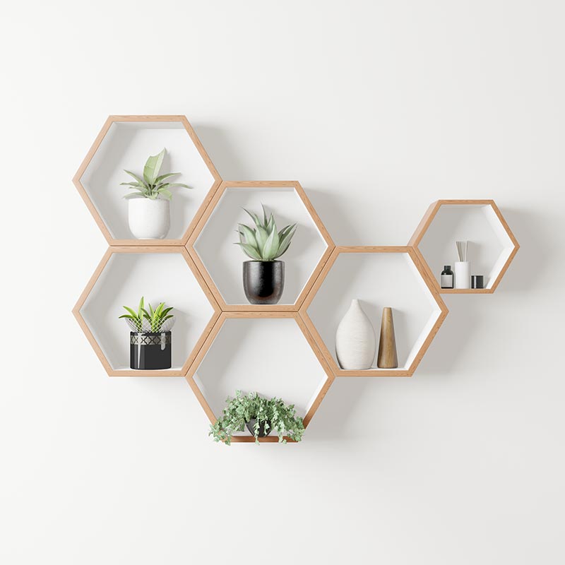 Wooden hexagon shelf with plants on a white wall